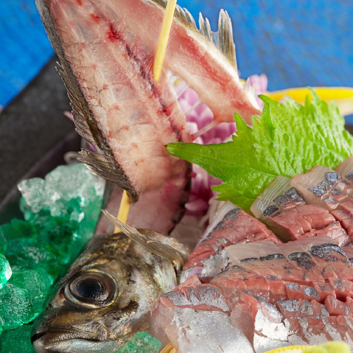 新鮮魚介が当店のイチオシ！ 新鮮だからこその旨味をご堪能ください ｜博多磯っこ商店