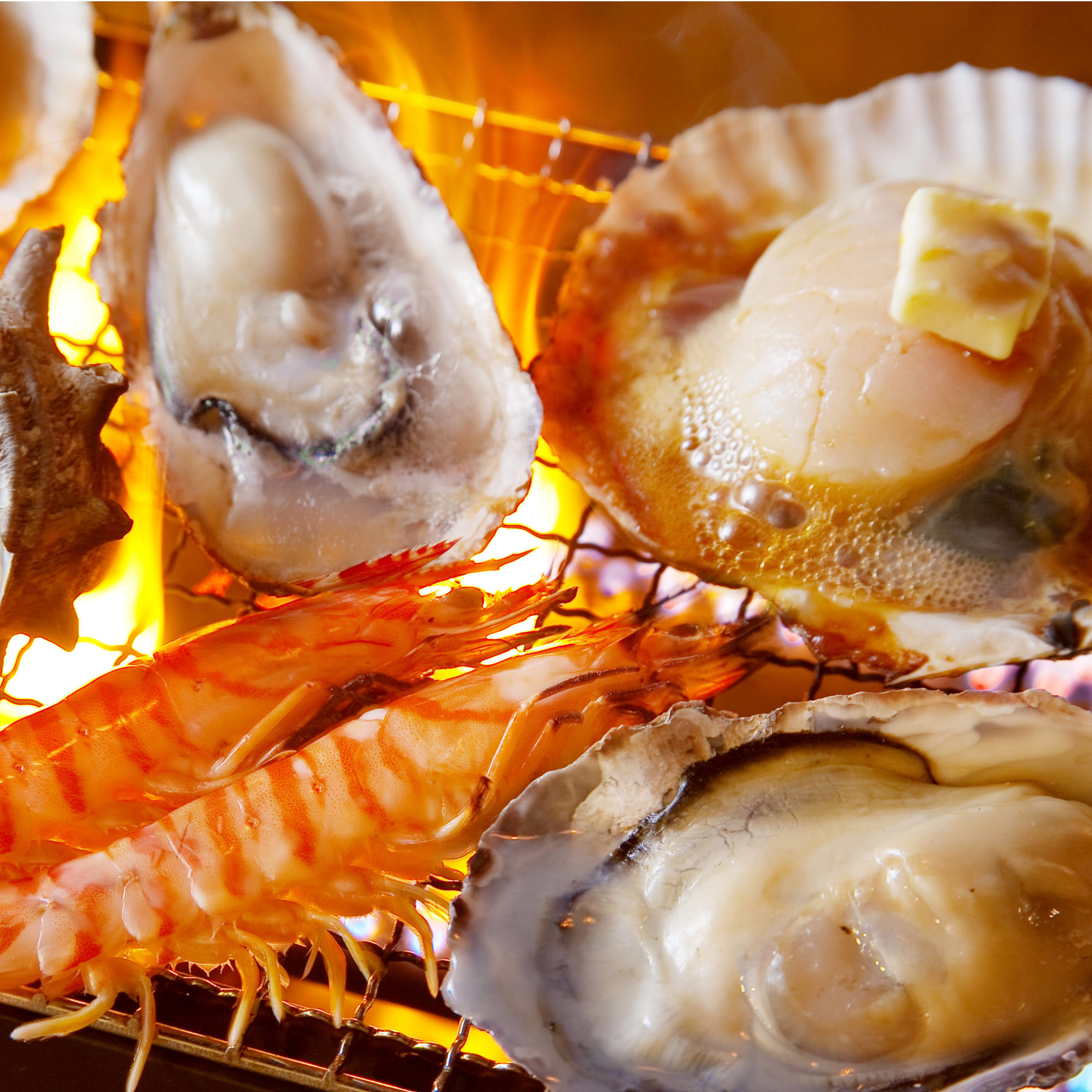シズル感がたまらない、浜焼き＆炉端焼きで女子会はいかが ｜博多磯っこ商店