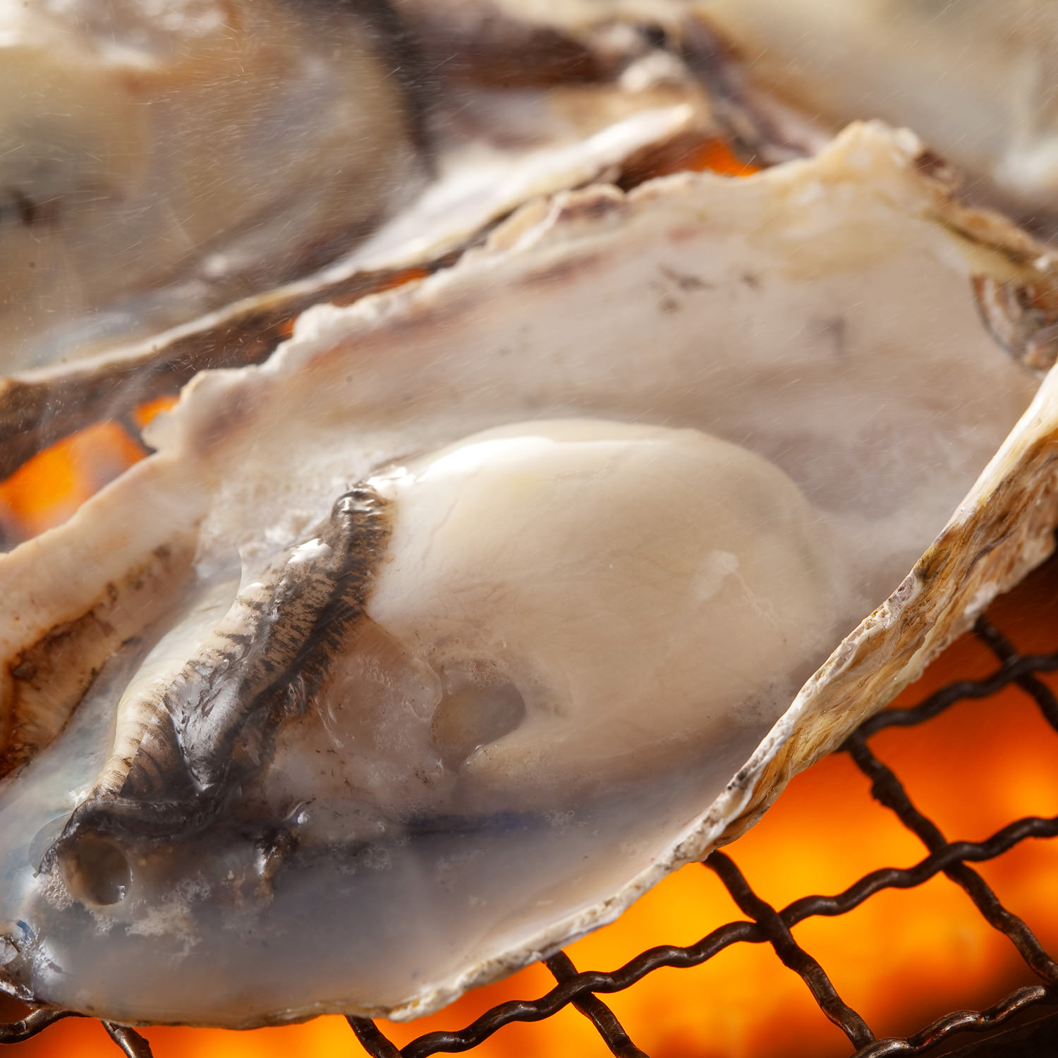 夏バテ防止にオススメ！牡蠣を召し上がれ ｜博多磯っこ商店