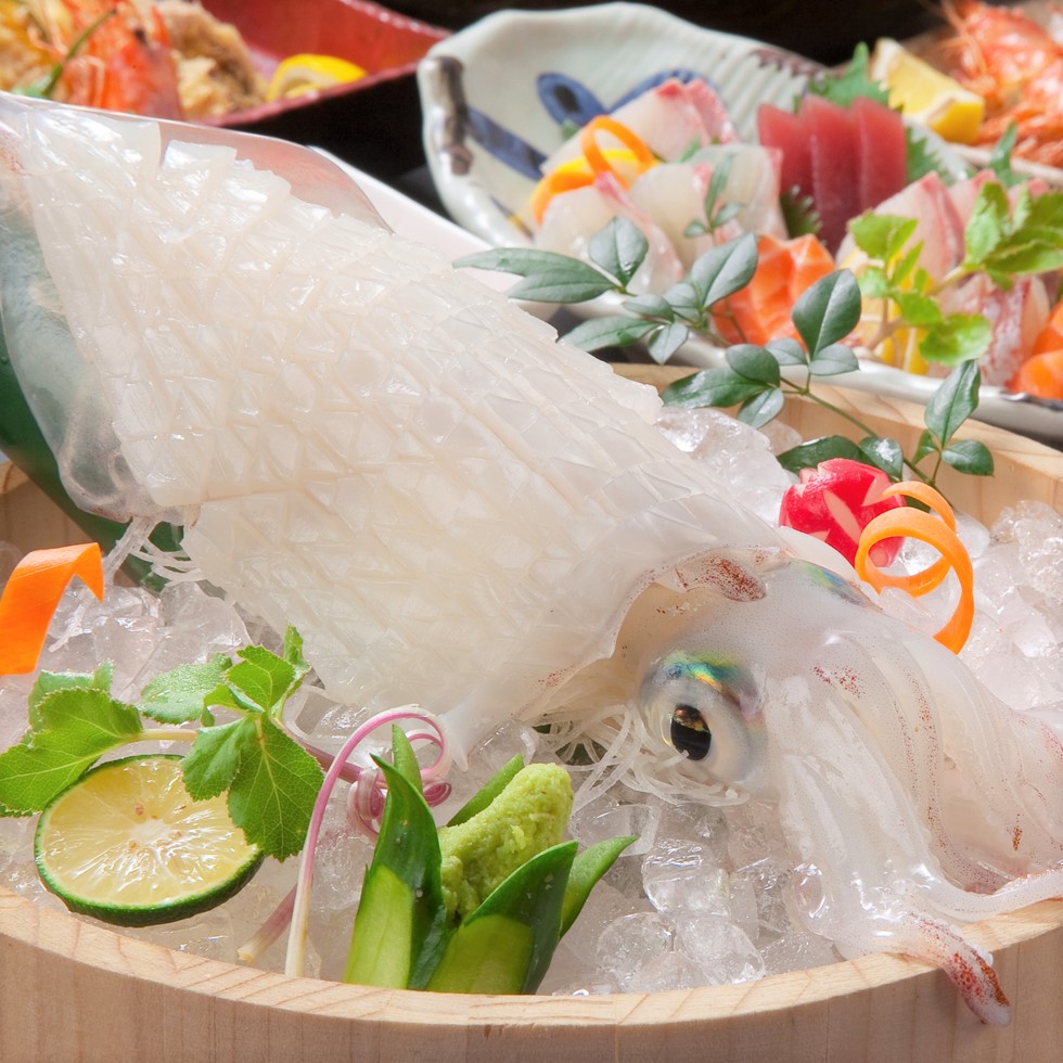 活きイカと鍋料理をご堪能いただけるコースで夏の宴会をしませんか？ ｜博多磯っこ商店