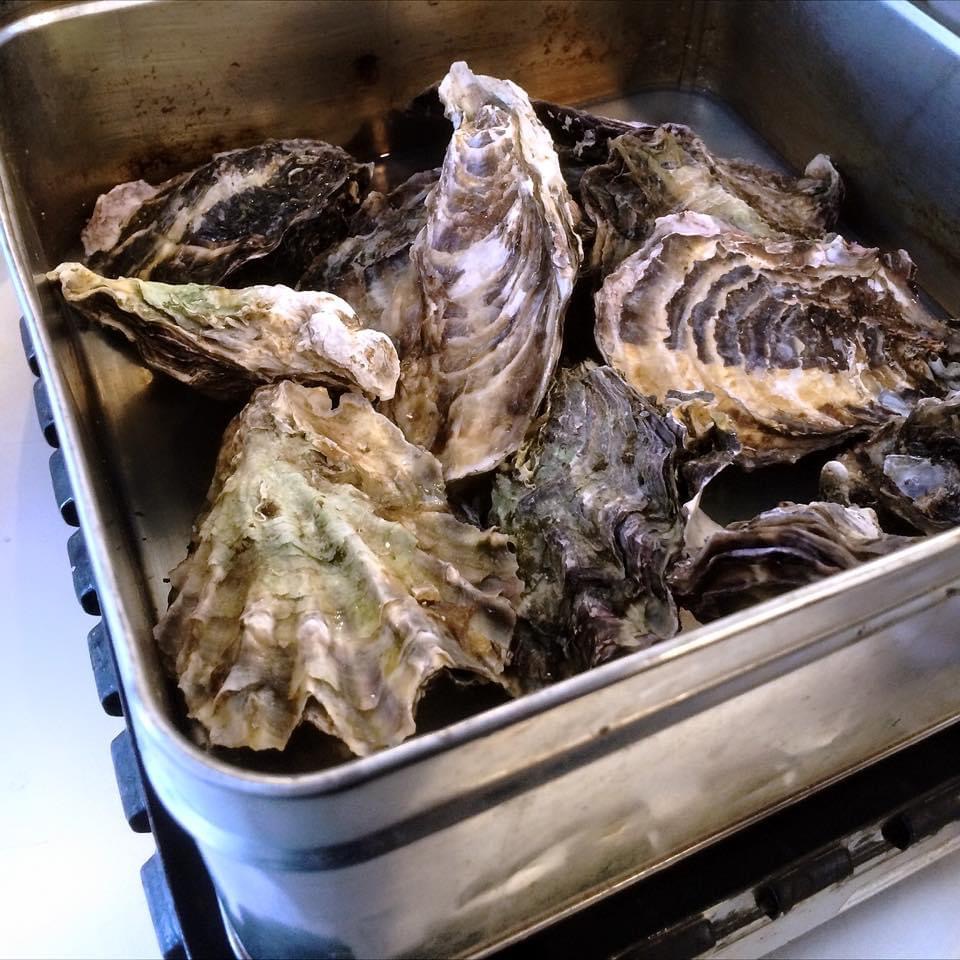 濃厚でミルキーな牡蠣を召し上がれ ｜博多磯っこ商店