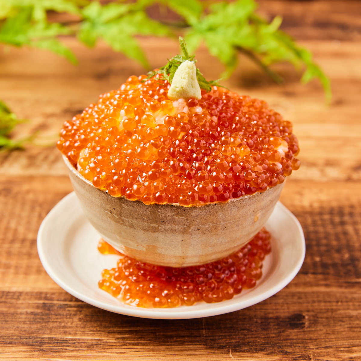 〆におすすめの「ごはん」と「デザート」 ｜博多磯っこ商店