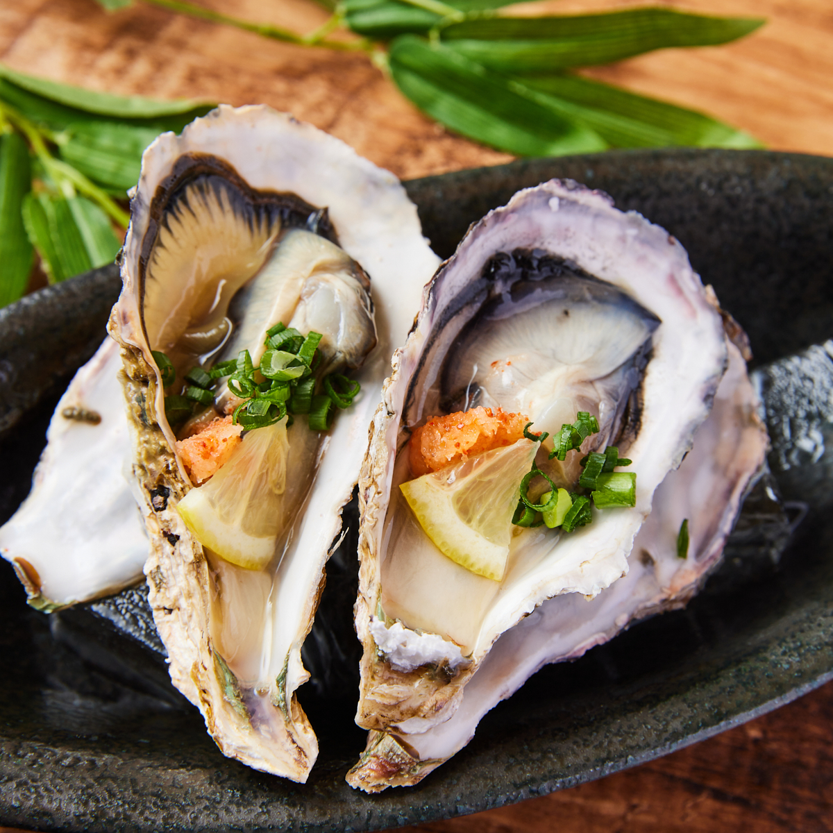 牡蠣好き必見！おすすめメニューをご紹介します ｜博多磯っこ商店