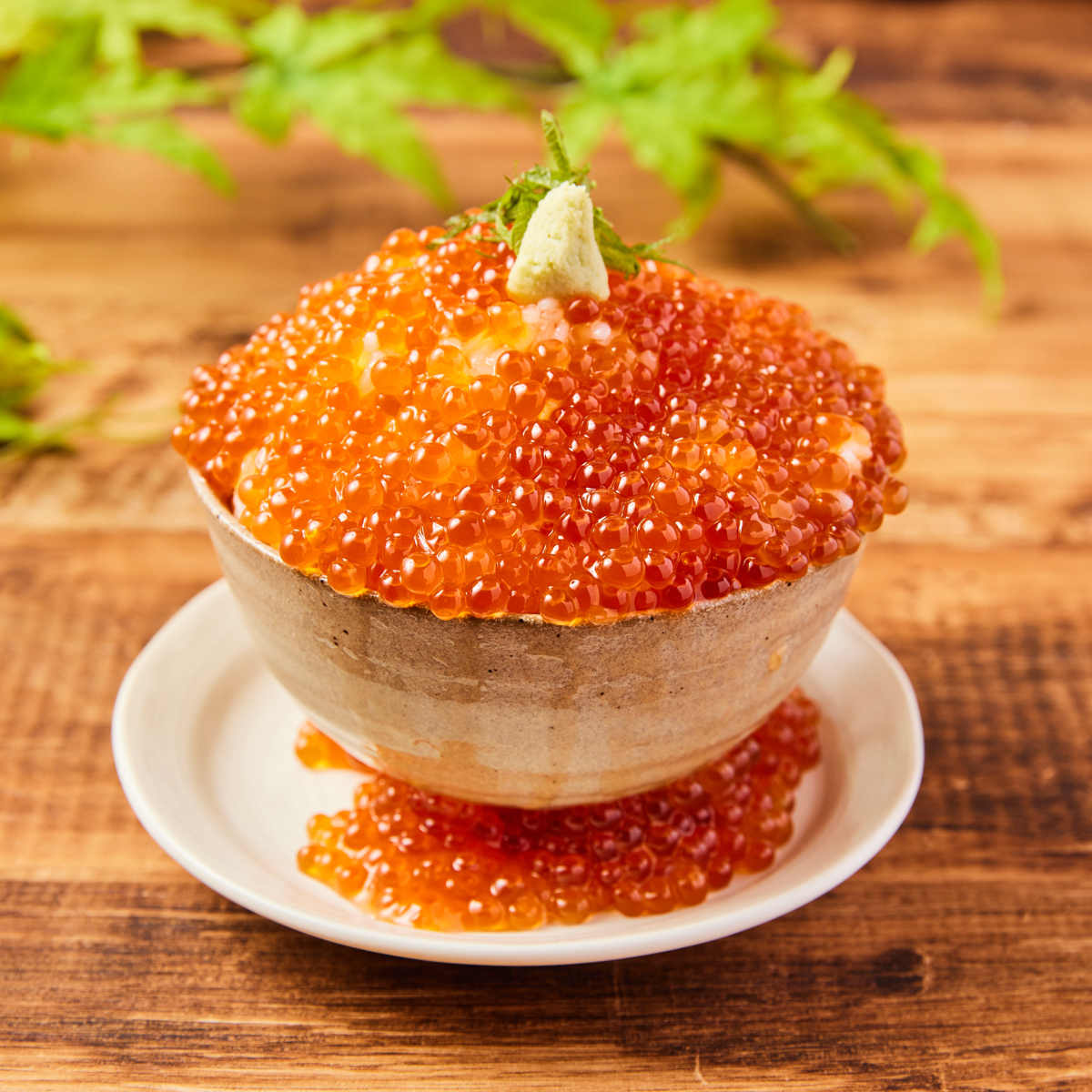 海の宝石がたっぷり！〆のおすすめをご紹介します｜博多磯っこ商店