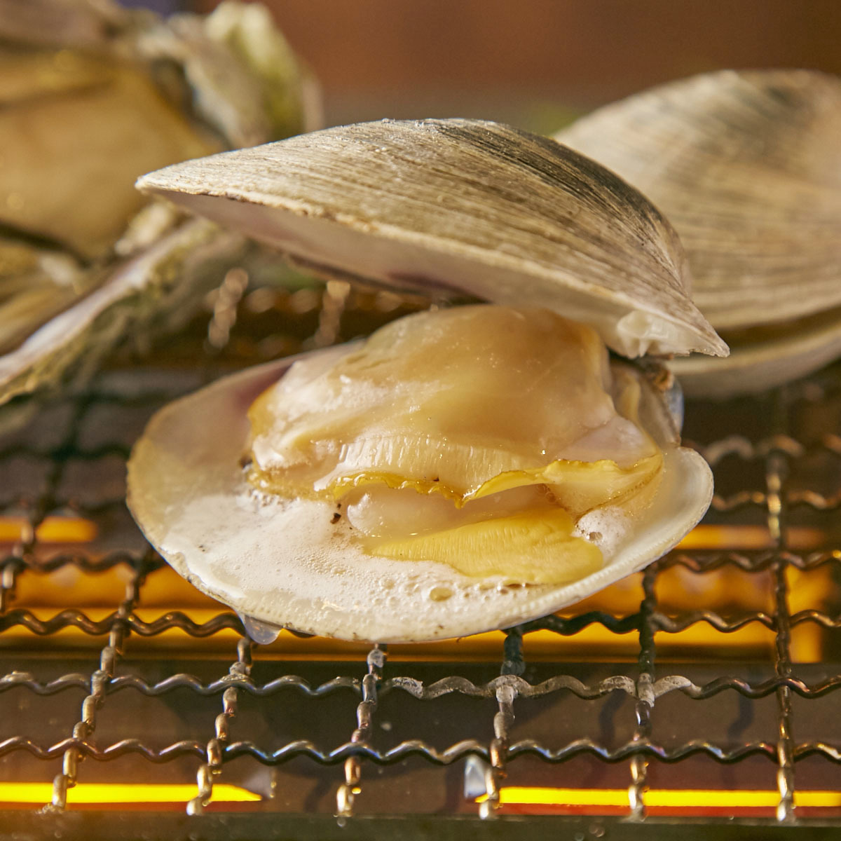 食べごたえのある「浜焼きを」召し上がれ ｜博多磯っこ商店