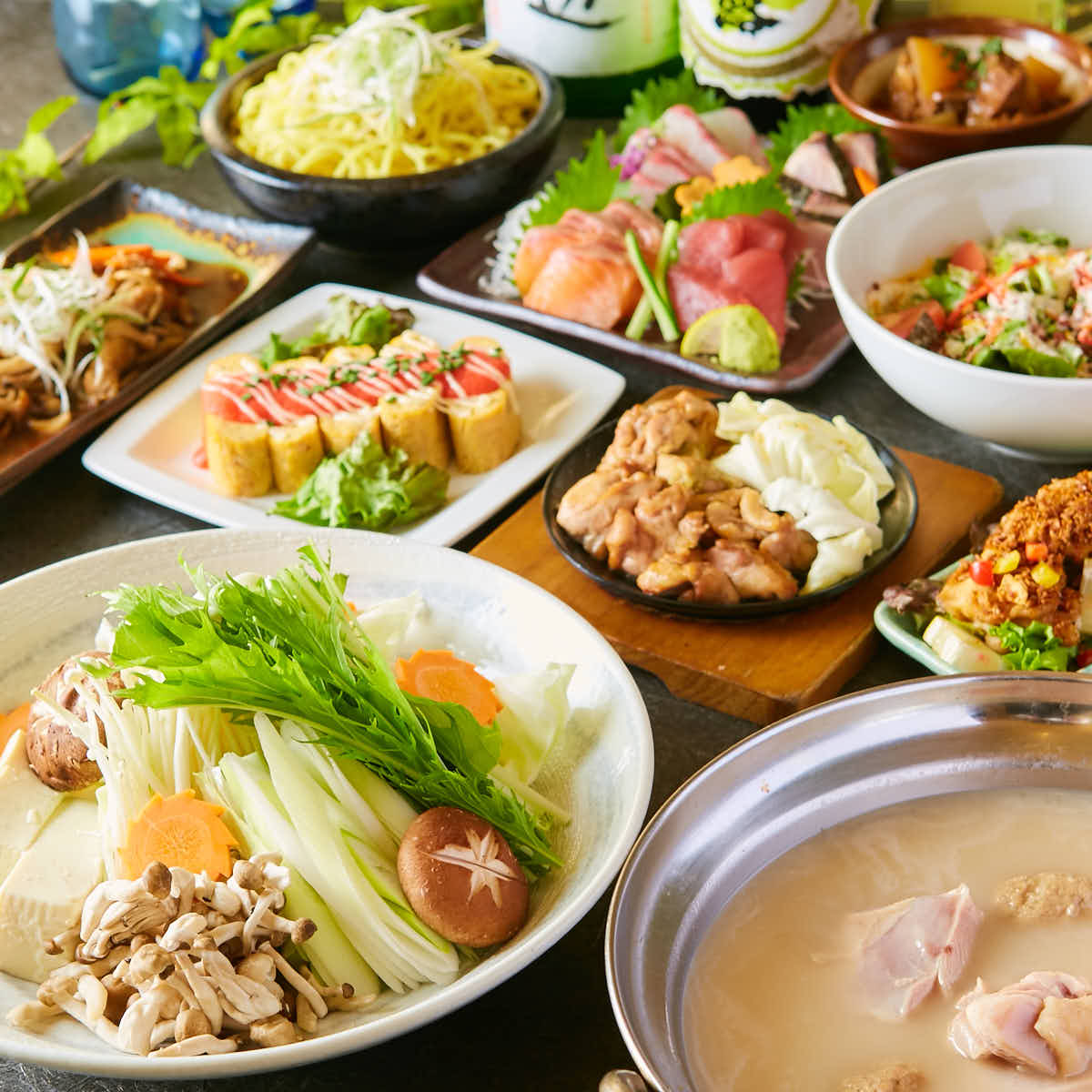 春のおすすめコースをご紹介いたします！ ｜博多磯っこ商店